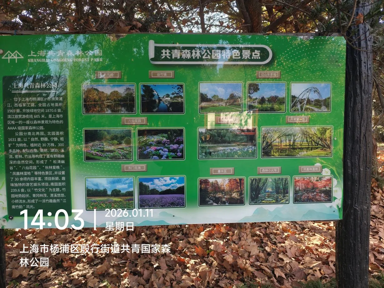 图片来源于水清无鱼@Bosir