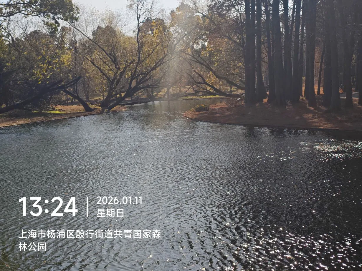 图片来源于水清无鱼@Bosir