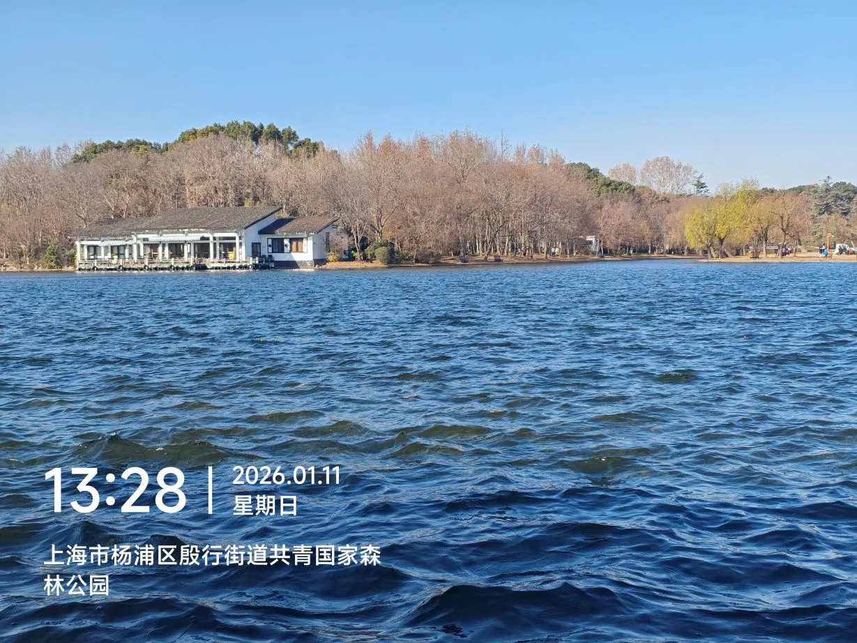 图片来源于水清无鱼@Bosir