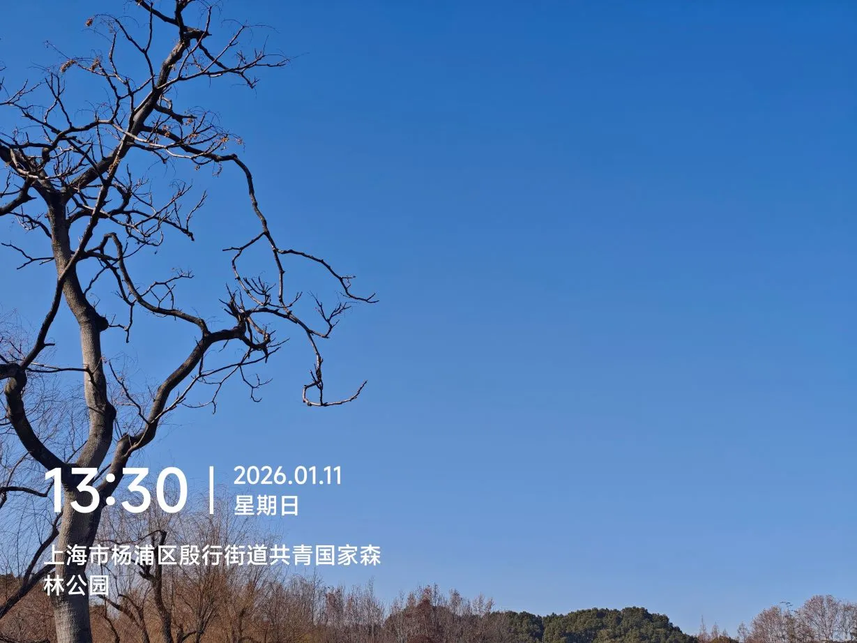 图片来源于水清无鱼@Bosir