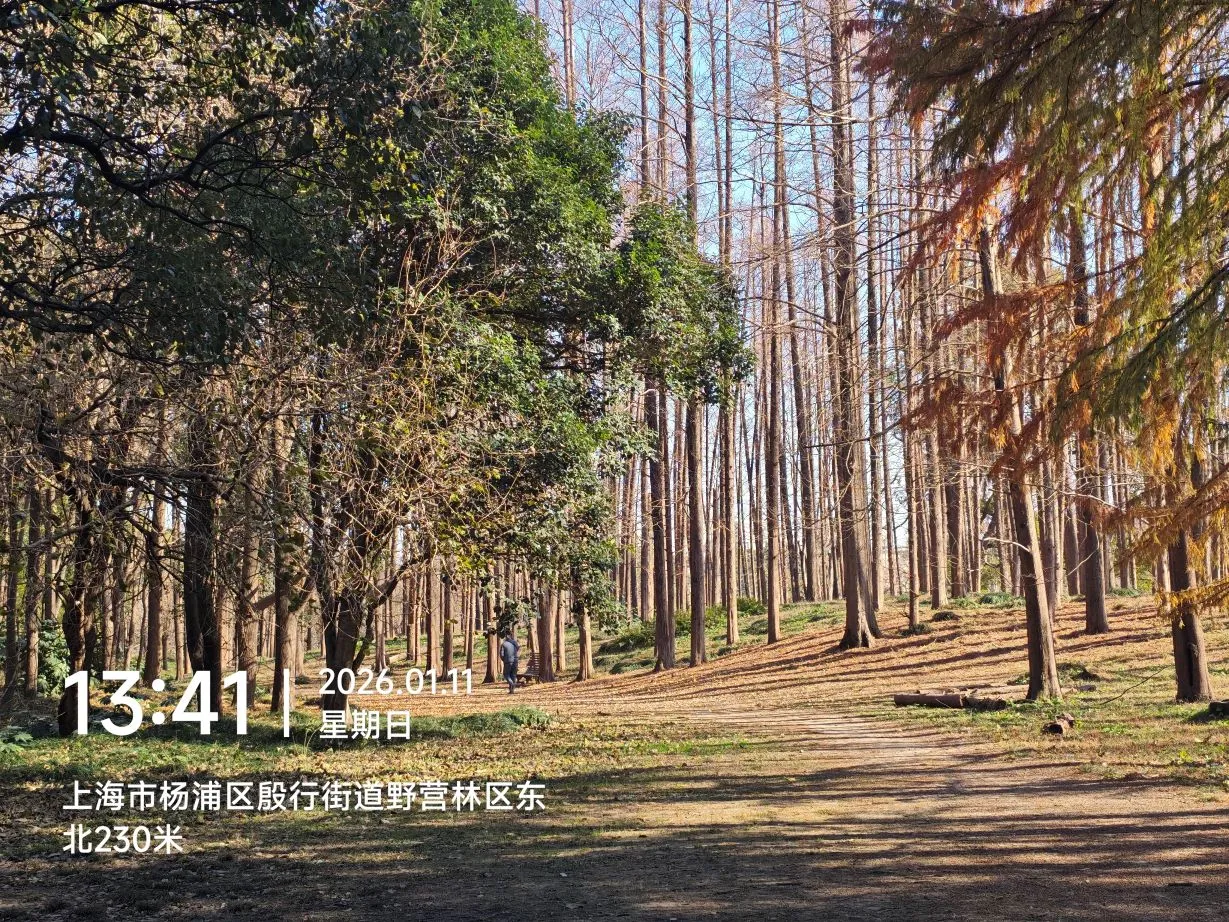 图片来源于水清无鱼@Bosir